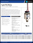 W117G Ultra Pure Stainless Steel Pressure Switch