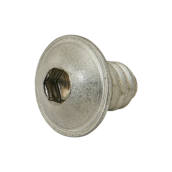 1/4-20 x 0.375" Flanged Button Head Socket Cap Screw (FBHSCS) (3601)